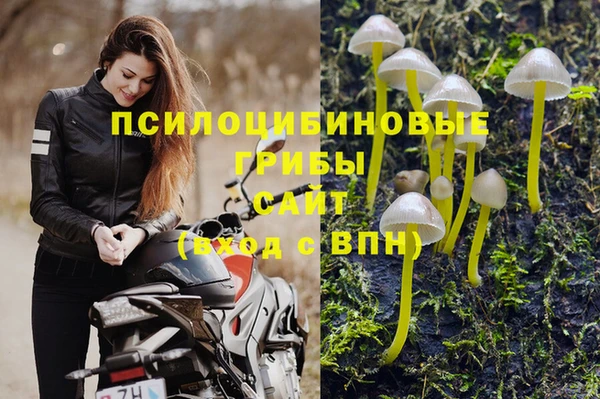 2c-b Балабаново