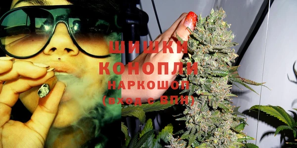 дживик Арсеньев