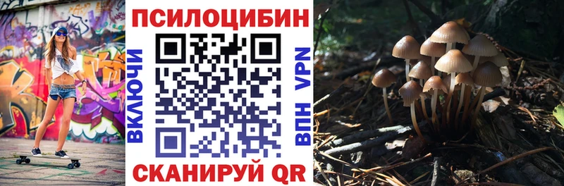 где можно купить наркотик  Свирск  дарк нет Telegram  Псилоцибиновые грибы мухоморы 